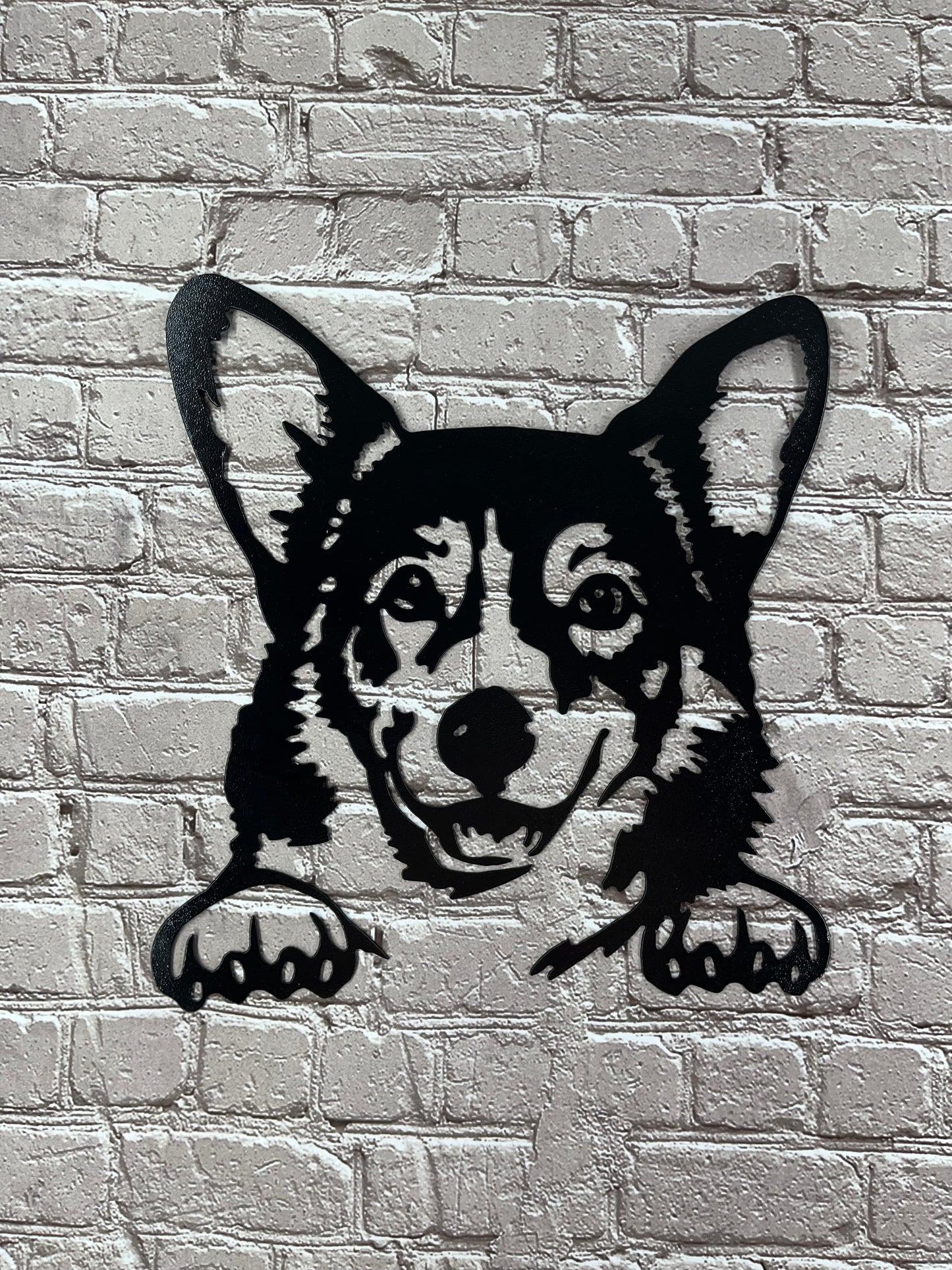 Corgi